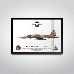 NORTHROP F-5F TIGER II, U.S. NAVY, BuNo 160965, 47, FWS "TOPGUN" - comprar online
