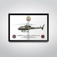 Helibrás HA-1 AS-550 A2 FENNEC AvEx, EB 1035, 1º BAVEX - comprar online