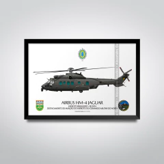 Airbus HM-4 Jaguar, EB 5014, Comando Militar do Norte en internet