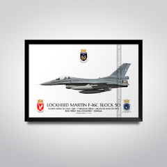 LOCKHEED MARTIN F-16C BLOCK 50 - FACH 856 - comprar online