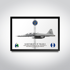 Northrop F-5F Tiger II, Fuerza Aérea Hondureña, FAH 4002 na internet