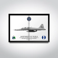 Northrop F-5F Tiger II, Fuerza Aérea Hondureña, FAH 4002 en internet