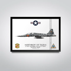 NORTHROP F-5F TIGER II, U.S. NAVY, BuNo 800456, AF 30, VFC-13. - comprar online