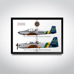 AFA 80 Anos, T-25 e T-27 com pintura comemorativa. - comprar online