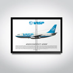Boeing 737-200, PP-SPG, VASP on internet