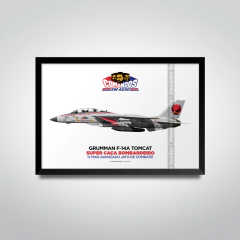 GRUMMAN F-14A TOMCAT • SUPER FIGHTER BOMBARDER • G.I.JOE • MODELO BRASILEÑO - comprar online