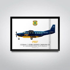 CESSNA 208B EX GRAND CARAVAN - PR-FPF - buy online