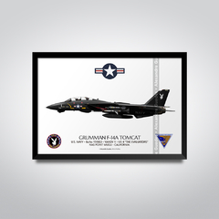 GRUMMAN F-14A TOMCAT, U.S. NAVY, BuNo 159853, VX-4 THE EVALUATORS. - comprar online