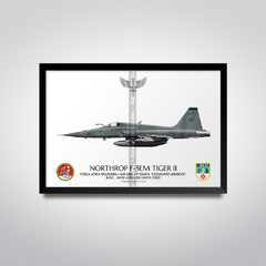 Northrop F-5EM Tiger II, FAB 4866, 1º GAVCA - comprar online