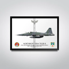 Northrop F-5EM Tiger II, FAB 4866, 1º GAVCA - comprar online