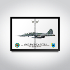 NORTHROP F-5FM TIGER II, FAB 4806, 1º/14º GAV - comprar online