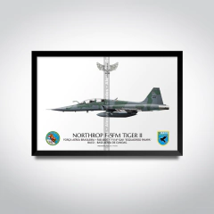 NORTHROP F-5FM TIGER II, FAB 4806, 1º/14º GAV - buy online