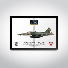 Northrop F-5E Tiger II, Fuerza Aérea Mexicana, 4506, Escuadrón Aéreo 401 na internet
