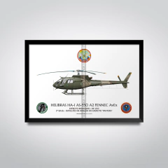 Helibrás HA-1 AS-550 A2 FENNEC AvEx, EB 1033, 3º BAVEX - comprar online
