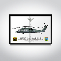 Sikorsky H-60L Black Hawk, FAB 8907, 2º/10º GAV, Esquadrão Pelicano en internet