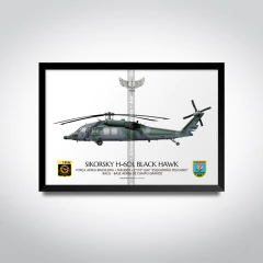 Sikorsky H-60L Black Hawk, FAB 8907, 2º/10º GAV, Esquadrão Pelicano na internet