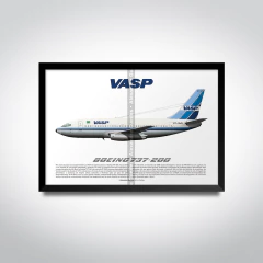 Boeing 737-200, PP-SMV, VASP on internet