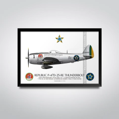 AÉROSPATIALE FOUGA CM.170/T-24 "MAGISTER", FAB 1722, EDA - (cópia) - buy online