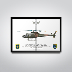 Helibrás HB-350B Esquilo / H-50, FAB 8774, 1º/11º GAV - Esquadrão Gavião - comprar online