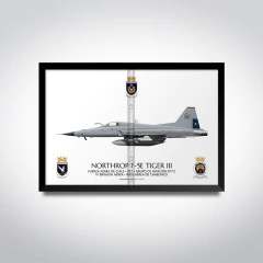 Northrop F-5E Tiger III, Fuerza Aérea de Chile, 813 en internet