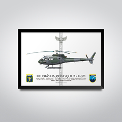 Helibrás HB-350B Esquilo / H-50, FAB 8760, 1º/11º GAV - Esquadrão Gavião - comprar online