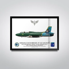 AERMACCHI/EMBRAER, AT-26 XAVANTE, FAB 4601, PACAU, SORBONE - comprar online