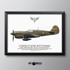 Poster Curtiss P-40M Kittyhawk, FAB 4051 - comprar online