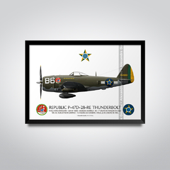 REPUBLIC P-47D-28-RE THUNDERBOLT, S/N 44-19666, B6, 1º GAVCA - comprar online