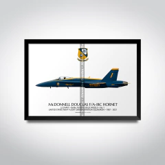 McDonnell Douglas F/A-18C Hornet, U.S NAVY, BuNo 163766, Blue Angels 1 on internet