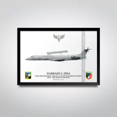 EMBRAER E-99M, FAB 6703, 2º/6º GAV - comprar online