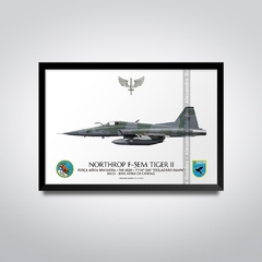 NORTHROP F-5EM TIGER II, FAB 4820, 1º/14º GAV - comprar online