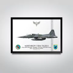 NORTHROP F-5EM TIGER II, FAB 4820, 1º/14º GAV - comprar online