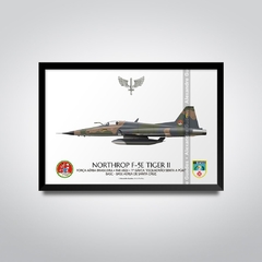 NORTHROP F-5E TIGER II, FAB 4824, 1º GAVCA - comprar online
