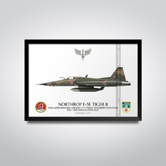 NORTHROP F-5E TIGER II, FAB 4836, 1º GAVCA - comprar online