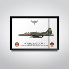 NORTHROP F-5E TIGER II, FAB 4849, 1º GAVCA - comprar online