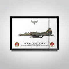 NORTHROP F-5E TIGER II, FAB 4849, 1º GAVCA - comprar online