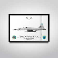NORTHROP F-5E TIGER II, FAB 4856, 1º/14º GAV - comprar online