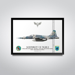 NORTHROP F-5E TIGER II, FAB 4857, 1º/14º GAV - comprar online