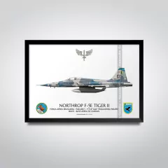 NORTHROP F-5E TIGER II, FAB 4857, 1º/14º GAV - comprar online