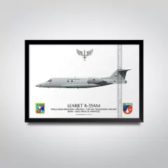 LEARJET R-35AM, FAB 6003, 1º/6º GAV - comprar online
