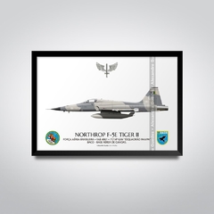 NORTHROP F-5E TIGER II, FAB 4861, 1º/14º GAV - comprar online