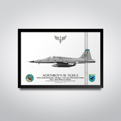 NORTHROP F-5E TIGER II, FAB 4865, 1º/14º GAV - comprar online