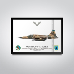 NORTHROP F-5E TIGER II, FAB 4870, 1.º/14.º GAV - comprar online