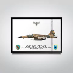 NORTHROP F-5E TIGER II, FAB 4870, 1.º/14.º GAV - comprar online