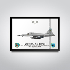 NORTHROP F-5E TIGER II, FAB 4873, 1º/14º GAV - comprar online