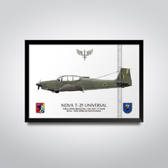 NEIVA T-25 UNIVERSAL, FAB 1930, 5º EMRA - comprar online