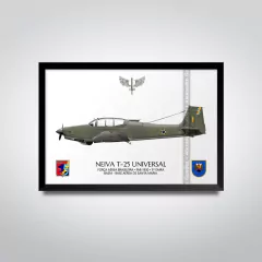 NEIVA T-25 UNIVERSAL, FAB 1930, 5º EMRA - comprar online
