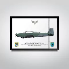 NEIVA T-25C UNIVERSAL, FAB 1906, 3º/8º GAV - comprar online