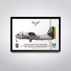 GRUMMAN P-16E TRACKER, FAB 7034, 1º GAE - comprar online