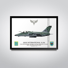 AMX INTERNACIONAL A-1M, FAB 5506, 3º/10º GAV - comprar online